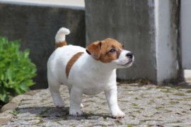 IMG 3852
